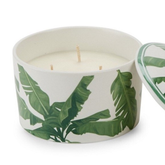 D.L. & Co 3 Wick Candle Reusable Lidded Ceramic Dish Palm Leaf Brazilian Guava - Picture 3 of 5